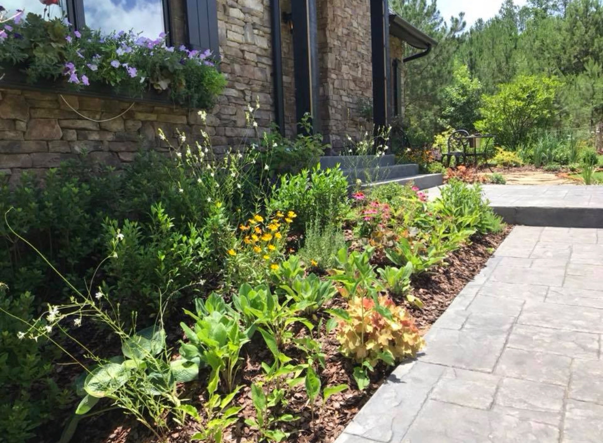 Landscape Design & Installation project image from Live Oaks Landscapes